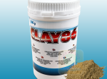 Clay 86