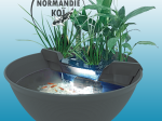 SuperFish Mini Pond