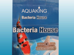 Bacteria house