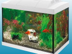 Start 20 Aquarium Kit