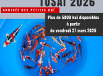 Tosai 2026 à partir du 27 mars