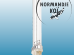 Oase Lampe UVC