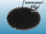 Skimmer flottant AquaForte SB278 200 mm – Ø110 mm
