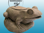 SuperFish FROG FILTER