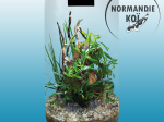 SuperFish BIO ART Cylindre 285