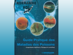 Guide pratique des maladies des poissons