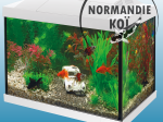 Start 20 Aquarium Kit
