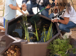 Bassin hors sol 190L avec pompe solaire et bac plantes