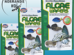 Hikari Algae Wafers