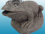 SuperFish FROG FILTER