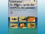 LE NOUVEAU GUIDE PRATIQUE DES MALADIES DES POISSONS