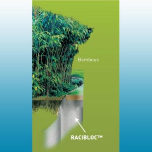 Racinebloc