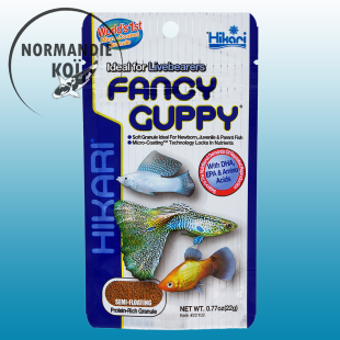 Hikari Fancy Guppy
