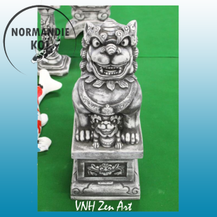 Fu chien femelle 4.11