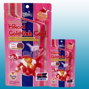 Hikari Gold Goldfish Baby.