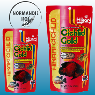 Hikari Cichlid Gold