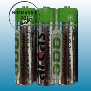 Piles Rechargeables AA 1.2V 800mAh X3