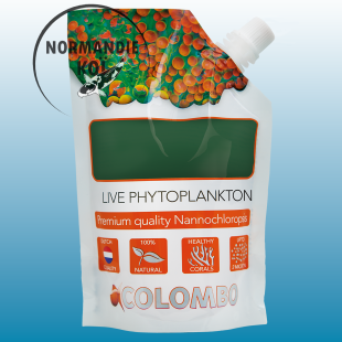 Live Phytoplankton