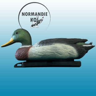 SuperFish DECO BIRD CANARD COLVERT MÂLE
