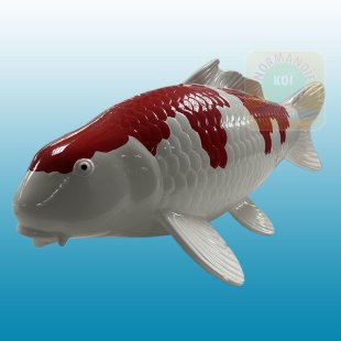 Carpe koï en résine (50cm) Kohaku