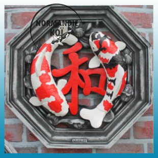Hexagone de 60cm avec relief - Yin Yang koï- Showa/Kohaku- 9.8.G