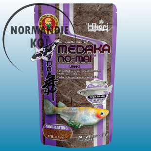 Hikari Medaka No-Mai Breed