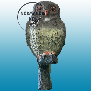 SuperFish DECO BIRD PETIT HIBOU