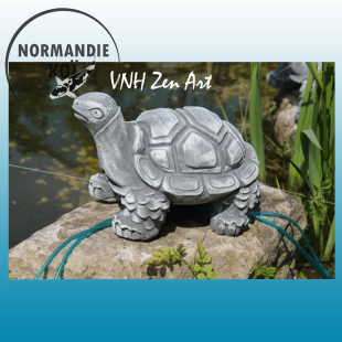 Tortue type 3 / 3.3