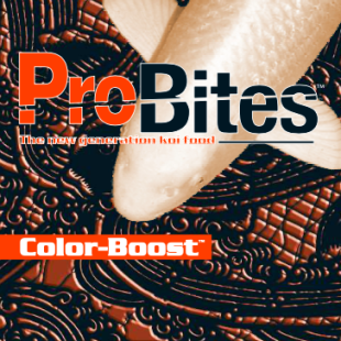 Probites Color-Boost.