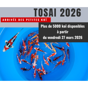 Tosai 2026 à partir du 27 mars