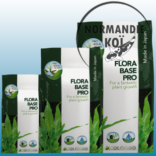 Colombo Flora Base Pro Gros