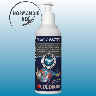 Colombo Black Water