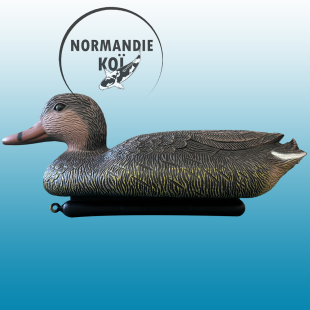 SuperFish DECO BIRD CANARD COLVERT FEMELLE