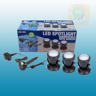 LED-48-3 (303)