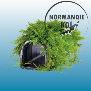 DECO FISH HOUSE MOSS 10X5X5 CM