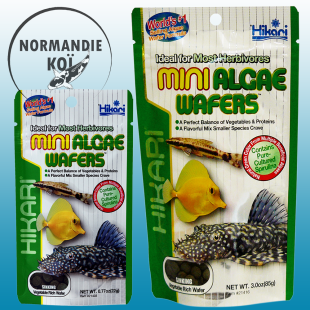 Hikari Mini Algae Wafers