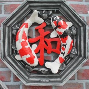 Hexagone de 60cm avec relief - Yin Yang koï- Showa/Kohaku- 9.8C