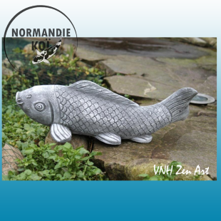 Mini koï 1.2