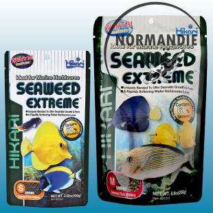 Hikari Seaweed extreme