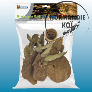 SF Biotope Set Crevette