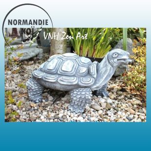 Tortue Type 1 / 3.1