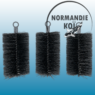 Brosse Edouna 25 cm x 15 cm