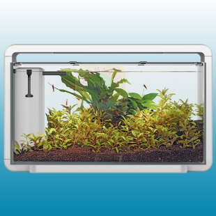 Aquarium Home 30