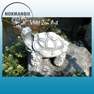 Tortue Type 4 / 3.4