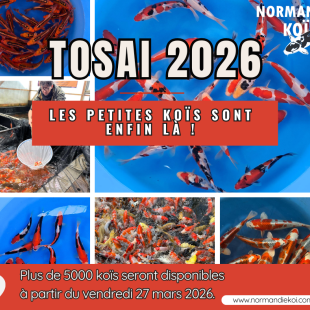 Tosai 2026 à partir du 27 mars