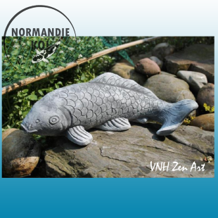 Petit koï 1.1
